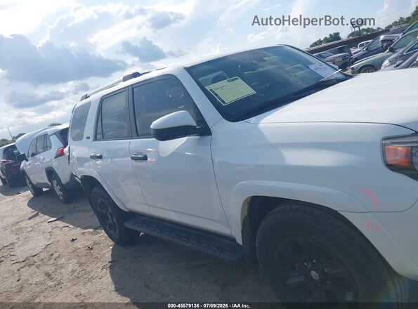JTEEU5JR3N5259172 2022 TOYOTA 4RUNNER White Rear interior view