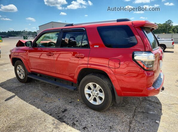 JTEEU5JR8P5286208 2023 TOYOTA 4RUNNER Красный Задняя левая четверть