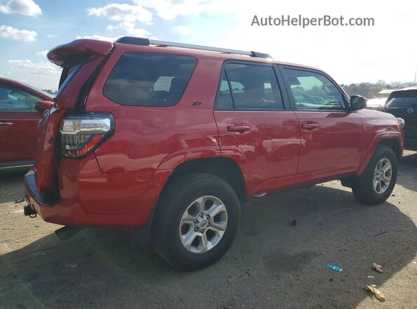JTEMU5JR0N6050140 2022 TOYOTA 4RUNNER Red Հետևի աջ