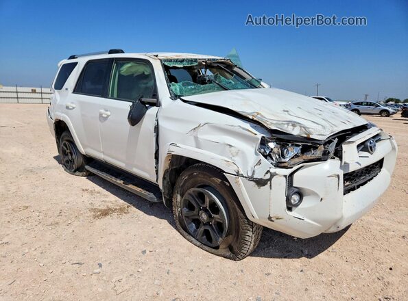 JTEMU5JR0R6249596 2024 TOYOTA 4RUNNER White Առջևի աջ