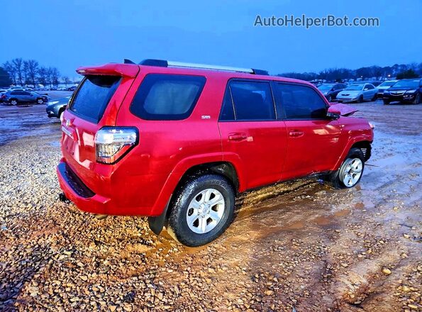 JTEMU5JR3P6127022 2023 TOYOTA 4RUNNER Red Tył prawy