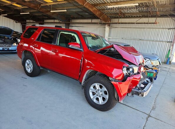 JTEMU5JR4M5882942 2021 TOYOTA 4RUNNER Red წინა მარჯვენა