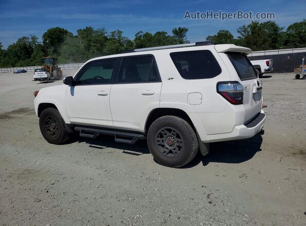 JTENU5JR1P6200506 2023 TOYOTA 4RUNNER Белый Задняя левая четверть