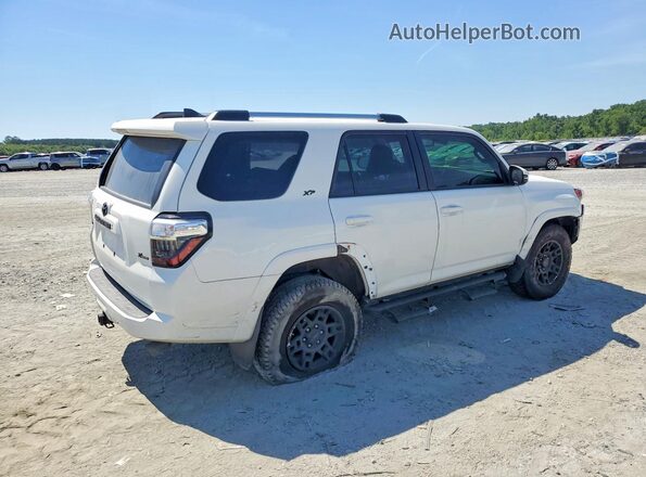JTENU5JR1P6200506 2023 TOYOTA 4RUNNER Белый Задняя правая четверть