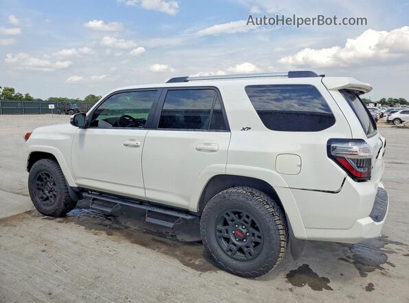 JTENU5JR1R6231774 2024 TOYOTA 4RUNNER White უკანა მარცხენა