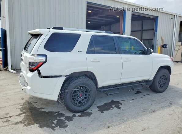 JTENU5JR1R6231774 2024 TOYOTA 4RUNNER White უკანა მარჯვენა