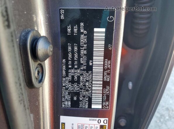 JTENU5JR2P6098679 2023 TOYOTA 4RUNNER Gray Widok komory silnika