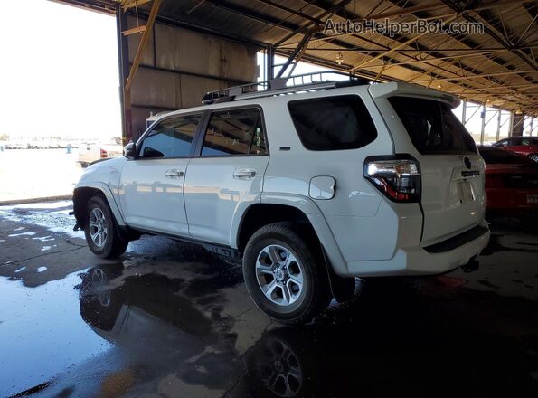 JTENU5JR2R6220136 2024 TOYOTA 4RUNNER Белый Задняя левая четверть