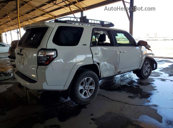 JTENU5JR2R6220136 2024 TOYOTA 4RUNNER Белый Задняя правая четверть