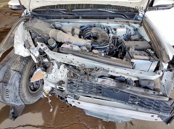 JTENU5JR2R6220136 2024 TOYOTA 4RUNNER Белый Вид задней части салона