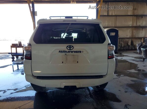 JTENU5JR2R6220136 2024 TOYOTA 4RUNNER Белый Вид сзади