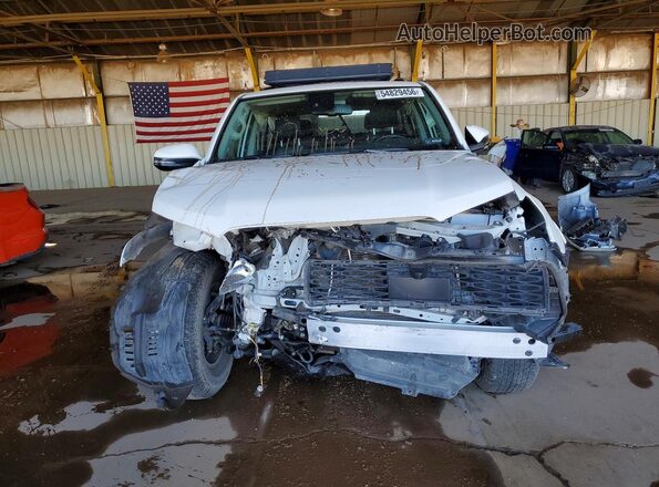 JTENU5JR2R6220136 2024 TOYOTA 4RUNNER Белый Вид спереди