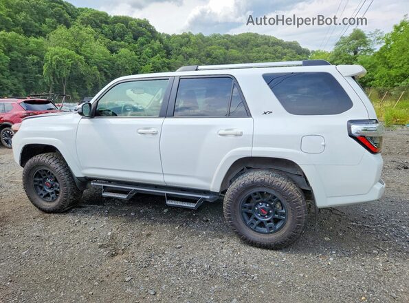 JTENU5JR4R6277034 2024 TOYOTA 4RUNNER White Հետևի ձախ