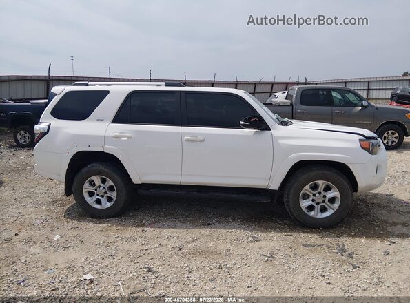 JTENU5JR9M5966257 2021 TOYOTA 4RUNNER White Widok wnętrza z tyłu