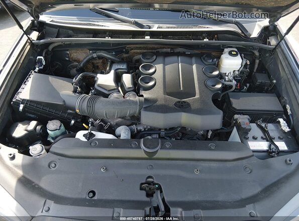 JTERU5JR0R6245456 2024 TOYOTA 4RUNNER Gray Vista trasera