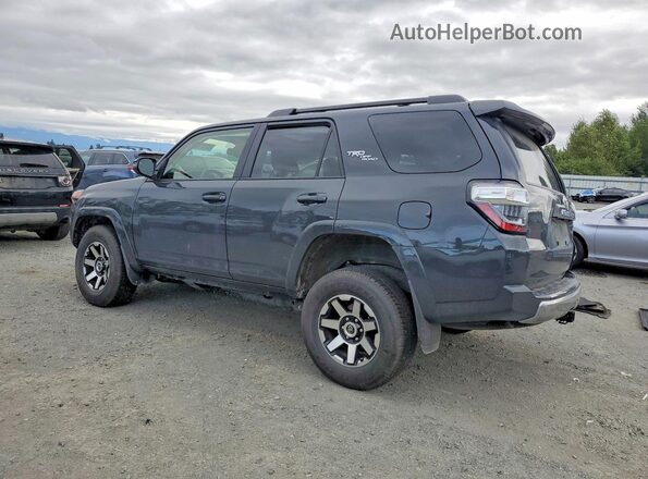 JTERU5JR5R6219743 2024 TOYOTA 4RUNNER Gray Հետևի ձախ