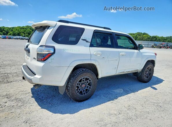 JTERU5JR6R6233652 2024 TOYOTA 4RUNNER White Rear right