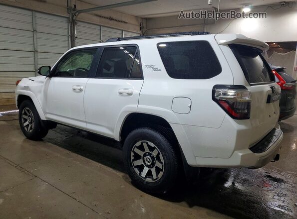 JTERU5JR6R6289350 2024 TOYOTA 4RUNNER Белый Задняя левая четверть