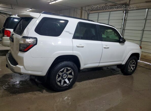 JTERU5JR6R6289350 2024 TOYOTA 4RUNNER Белый Задняя правая четверть