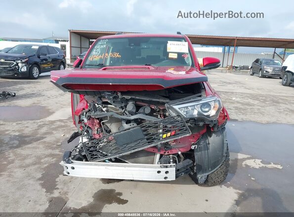 JTERU5JR8N6021698 2022 TOYOTA 4RUNNER Red Вид задньої частини салону
