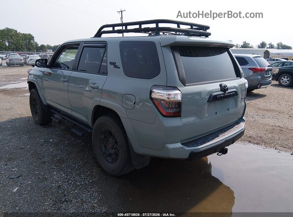 JTERU5JR8P6205168 2023 TOYOTA 4RUNNER Gray უკანა მარცხენა