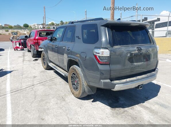 JTERU5JR9R6264720 2024 TOYOTA 4RUNNER Gray Задня ліва чверть