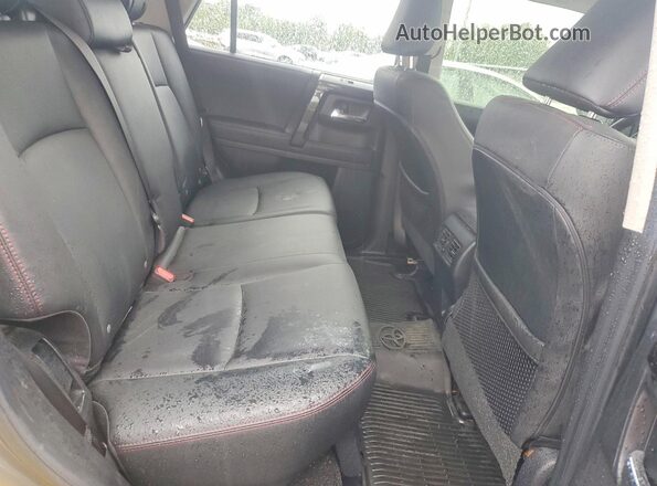 JTERU5JR9R6306335 2024 TOYOTA 4RUNNER Gray Rear interior view