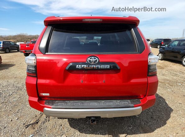 JTERU5JRXP6198529 2023 TOYOTA 4RUNNER Бордовый Вид сзади