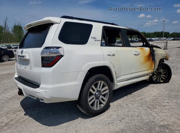 JTESU5JR3P6139646 2023 TOYOTA 4RUNNER White Rear right
