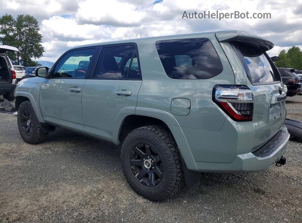 JTETU5JR9N6069233 2022 TOYOTA 4RUNNER Green Задня ліва чверть