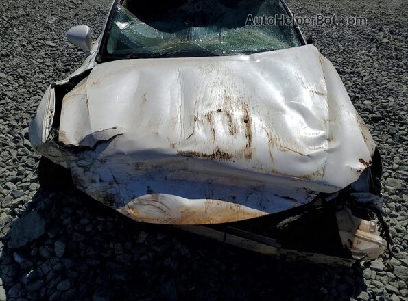 JTHAA1D27L5105594 2020 LEXUS IS Белый Вид задней части салона
