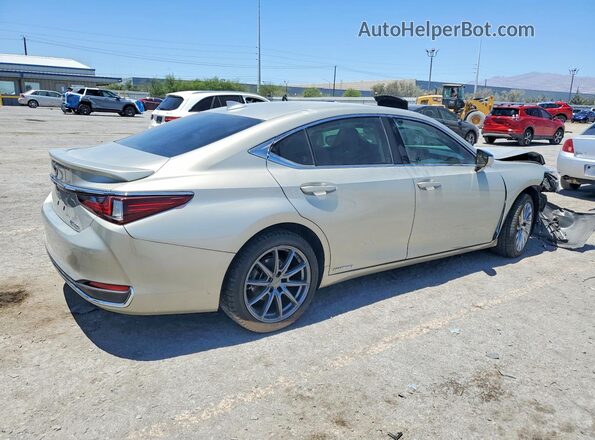 JTHB21B10K2045668 2019 LEXUS ES Tan Tył prawy