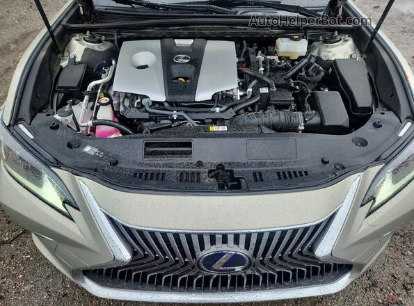 JTHB21B11K2030483 2019 LEXUS ES Gray Rear interior view