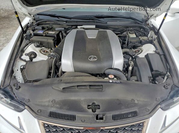 JTHC81D22J5031096 2018 LEXUS IS White Սալոնի հետևի տեսք