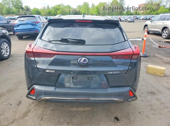 JTHE9JBH2M2041257 2021 LEXUS UX Black Rear view