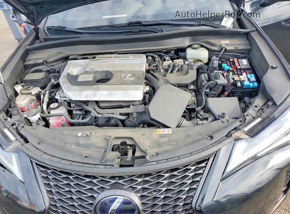 JTHE9JBH2M2041257 2021 LEXUS UX Black Rear interior view