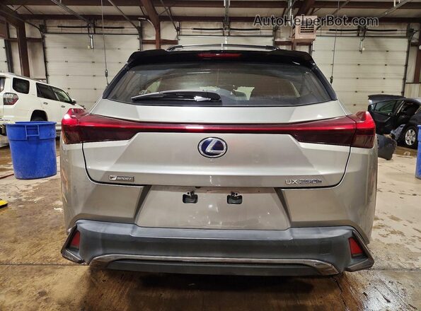 JTHE9JBH3L2032677 2020 LEXUS UX Silver უკანა ხედი