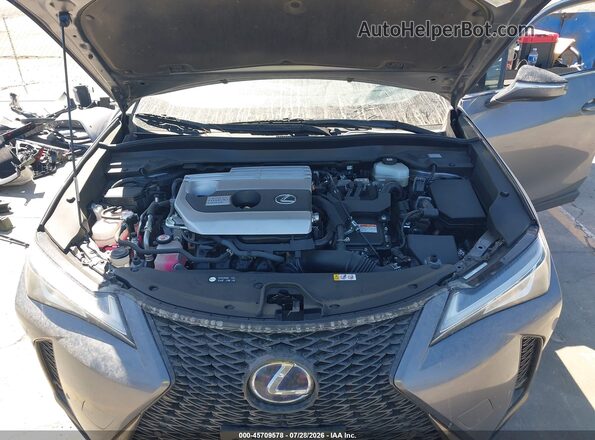 JTHE9JBHXM2040180 2021 LEXUS UX 250H Gray Widok z tyłu