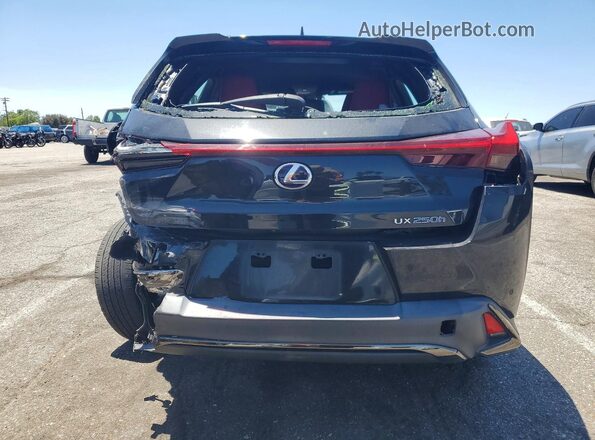 JTHE9JBHXM2047842 2021 LEXUS UX Black Vista trasera