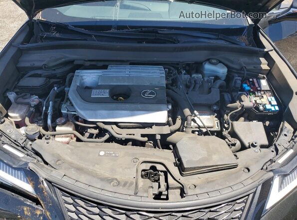 JTHE9JBHXM2047842 2021 LEXUS UX Black Vista interior trasera