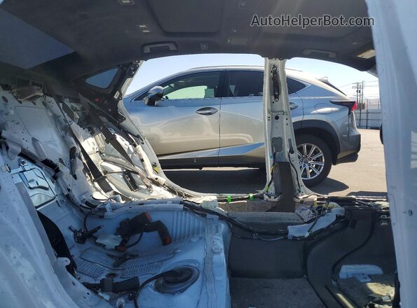 JTHF51FF4R5019503 2024 LEXUS LS White Հետևի նստատեղերի տեսք