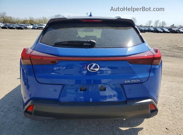 JTHL9JBH6M2038191 2021 LEXUS UX Blue Հետևի տեսք