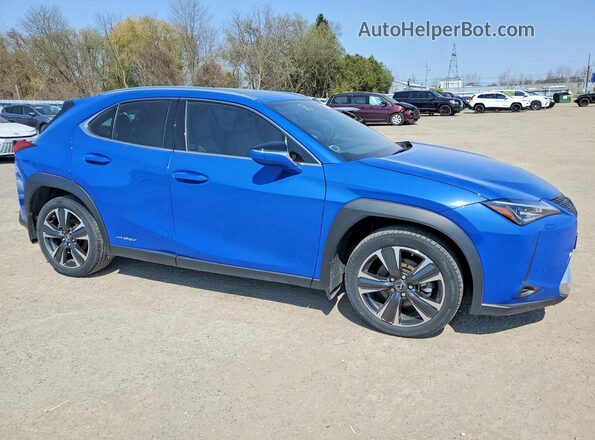 JTHL9JBH6M2038191 2021 LEXUS UX Blue Առջևի աջ