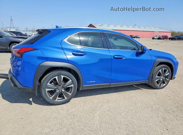 JTHL9JBH6M2038191 2021 LEXUS UX Blue Հետևի աջ
