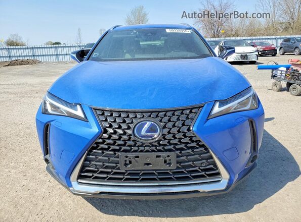 JTHL9JBH6M2038191 2021 LEXUS UX Blue Դիմացի տեսք