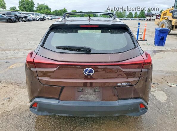 JTHL9JBH7L2032561 2020 LEXUS UX Brown Հետևի տեսք