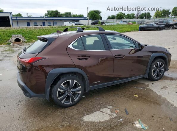 JTHL9JBH7L2032561 2020 LEXUS UX Brown Հետևի աջ