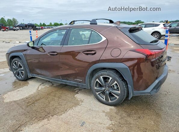 JTHL9JBH7L2032561 2020 LEXUS UX Brown Հետևի ձախ