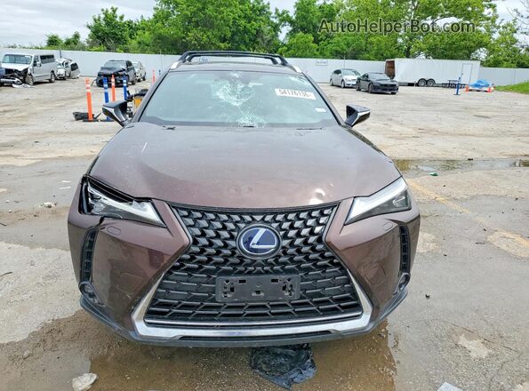 JTHL9JBH7L2032561 2020 LEXUS UX Brown Դիմացի տեսք