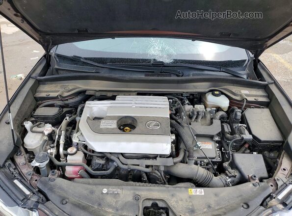 JTHL9JBH7L2032561 2020 LEXUS UX Brown Սալոնի հետևի տեսք